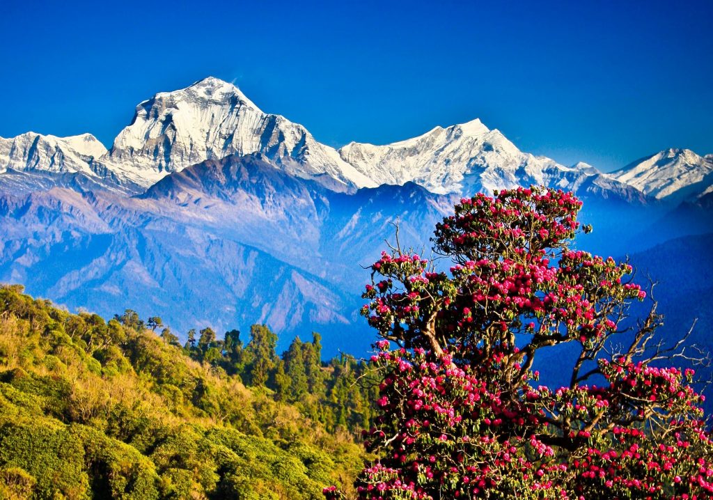‘गणतन्त्रको यात्रा’ विमोचन गर्दै नागरिक अगुवाले भने- गणतन्त्र जान सक्छ