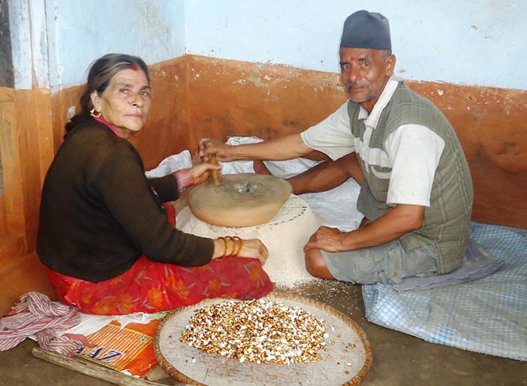 पर्वतमा उत्पादित मकैको सातु युरोप र अमेरिका निर्यात