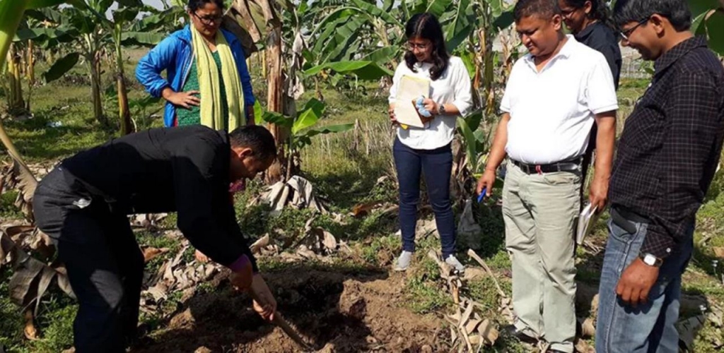 चितवनको माटोमा अल्मियपना बढ्यो, सजग नभए खाद्य उत्पादन घट्ने