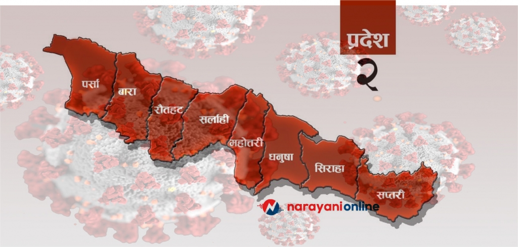 प्रदेश–२ मा सङ्क्रमणमुक्त हुने १२ हजार नाघे