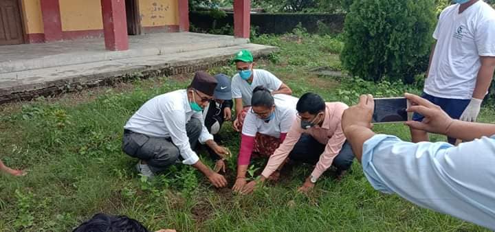 रत्ननगरमा वृक्षरोपणसँगै सरसफाइ