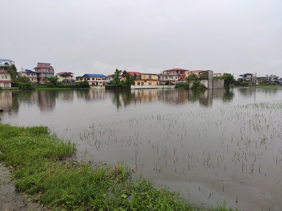 भरतपुरमा नहर अतिक्रमण गरेर सडक निर्माण,शहरी क्षेत्र डुबानमा