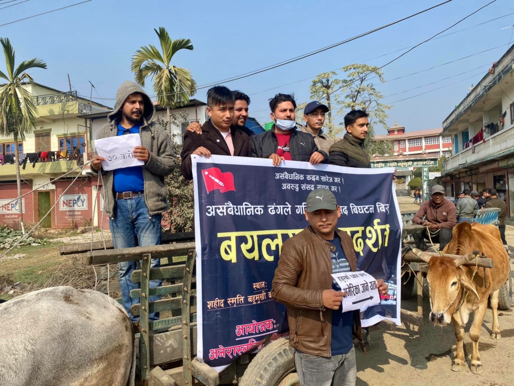 रत्ननगरमा संसद विघटन विरुद्ध बयलगाड़ा प्रदर्शन