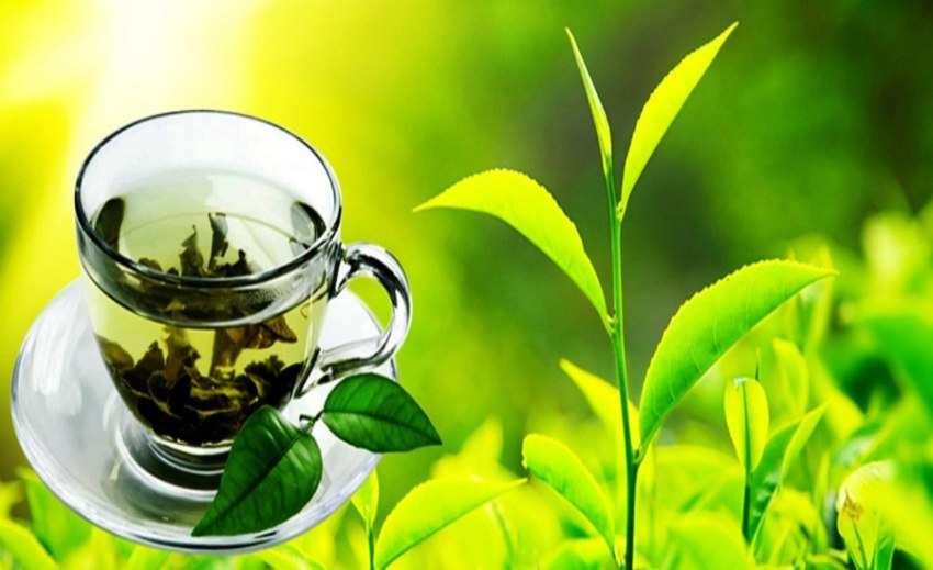 नेपालमै चिनिँदैन अर्थोडक्स चिया