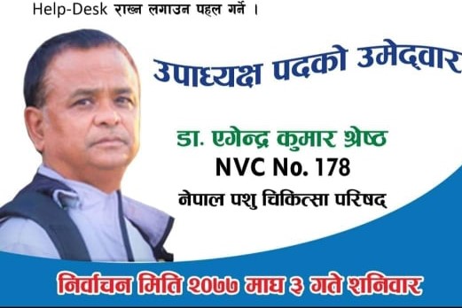 नेपाल पशु चिकित्सा परिषद्को उपाध्यक्षमा चितवनका श्रेष्ठको उम्मेदवारी