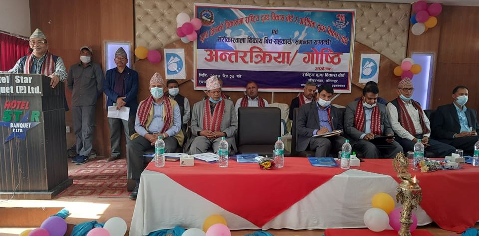 दुग्ध उत्पादक किसानको प्रश्नः ‘बजारको सुनिश्चितता खोई ?’