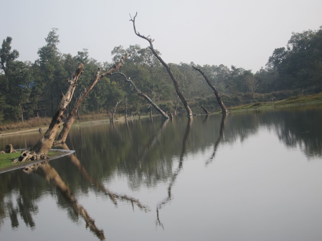 चितवनमा खडेरी र डढेलोले ताल सुक्ने खतरा