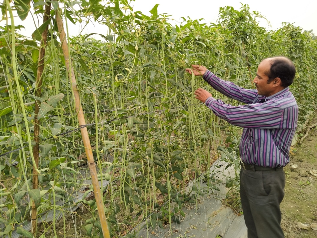 किसानका उत्पादनलाई बजारसम्म लाने वातावरण सिर्जना गर्न आग्रह