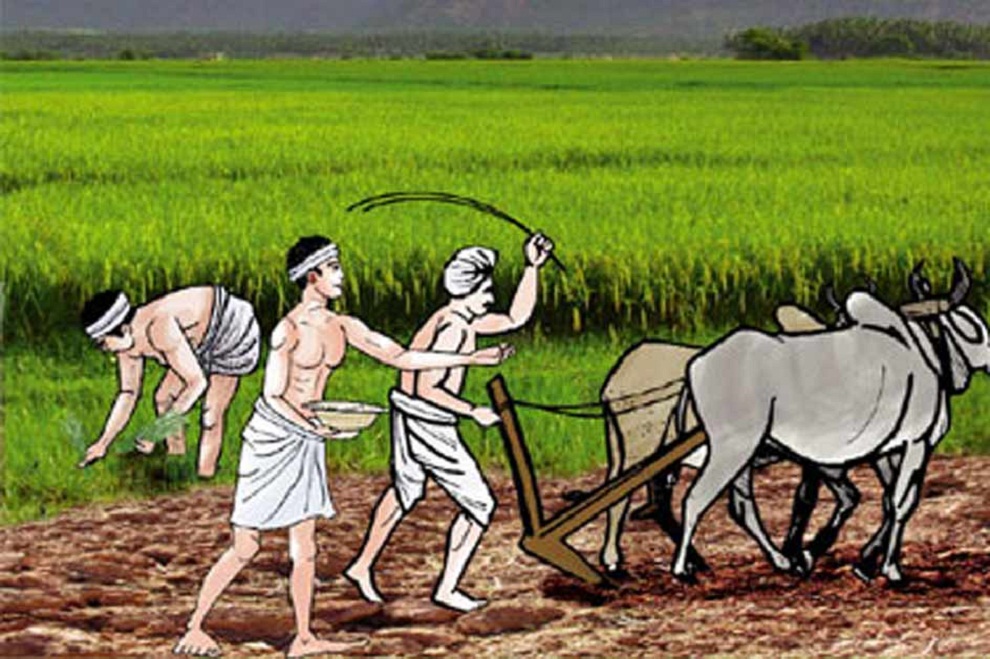 सुखौरामा शितभण्डार किसान उत्साहित