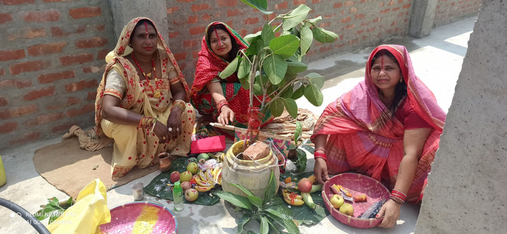 विवाहिताहरु आज वटसावित्री पर्व मनाउँदै