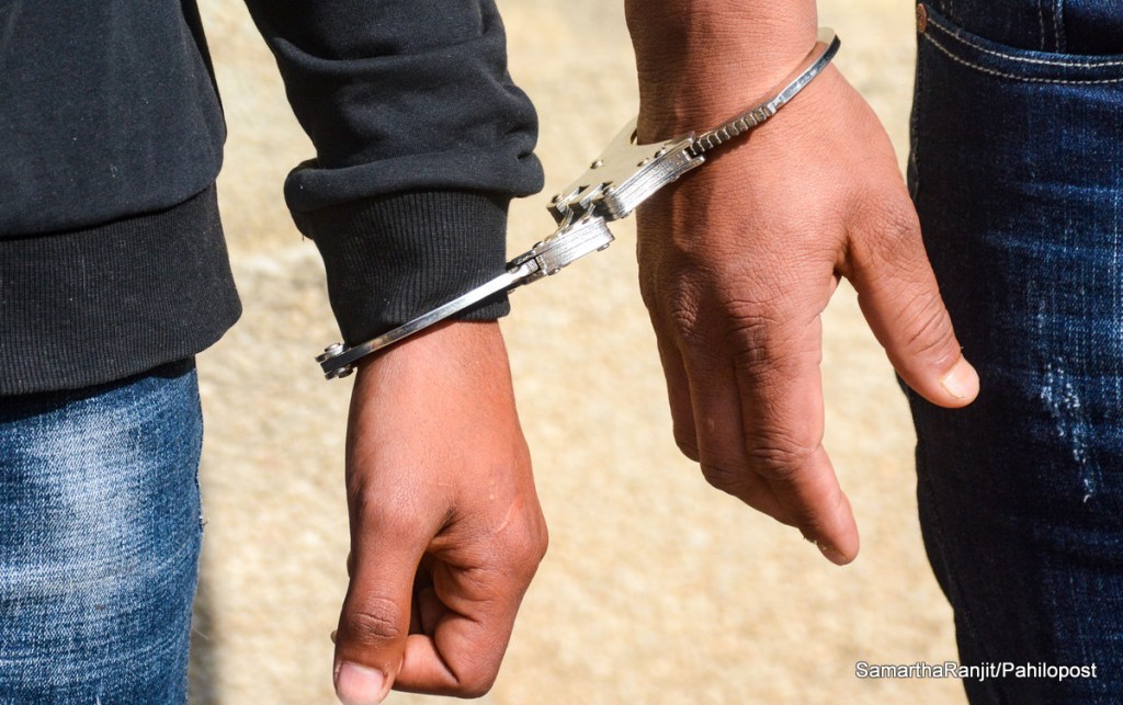 कैलालीबाट पाटेबाघको छालासहित दुई पक्राउ