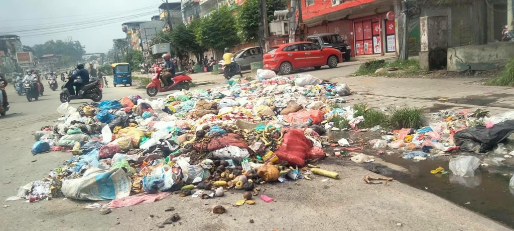 एक हप्तादेखि भरतपुर महानगरले फोहोर उठाएन, दुर्गन्धित बन्यो नारायणगढ बजार (फोटोफिचर)
