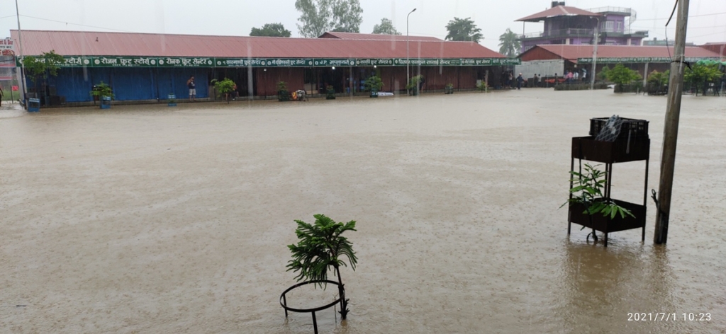 भरतपुरको तरकारी मण्डीमा बाढी (तस्विर/भिडियोसहित)