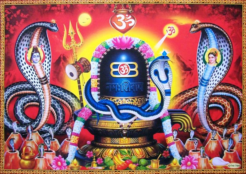आज नागपञ्चमी पर्व : घरघरमा नागको पूजा आराधना गरिँदै