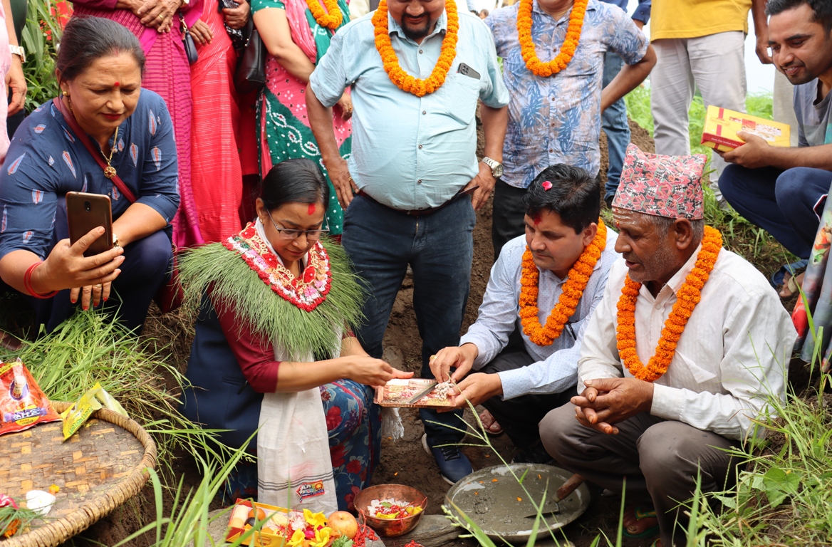 Banner